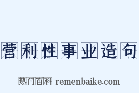 营利性事业造句是什么意思的图片